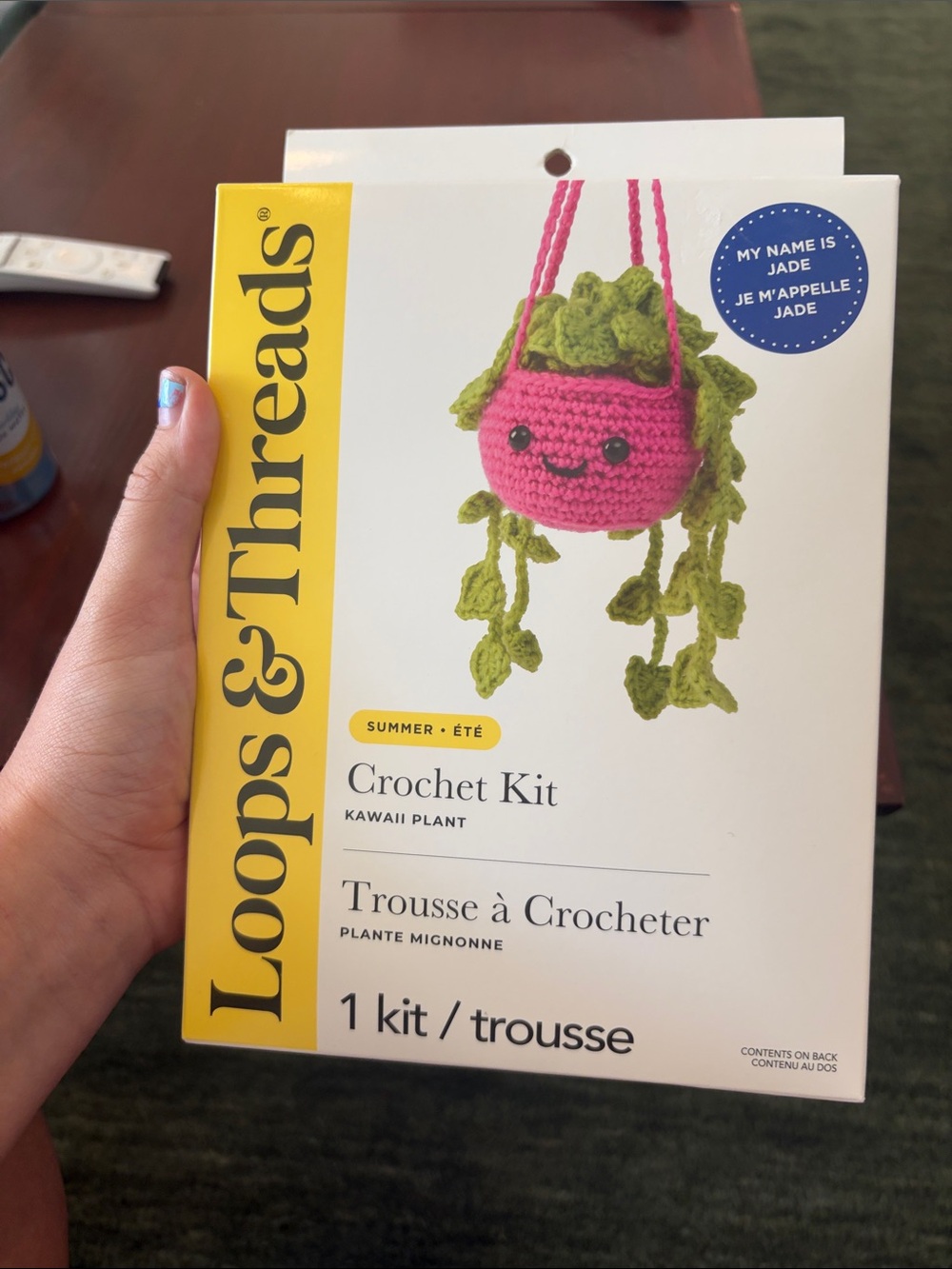 Kawaii Crochet Plant Kit - Pink & Green
